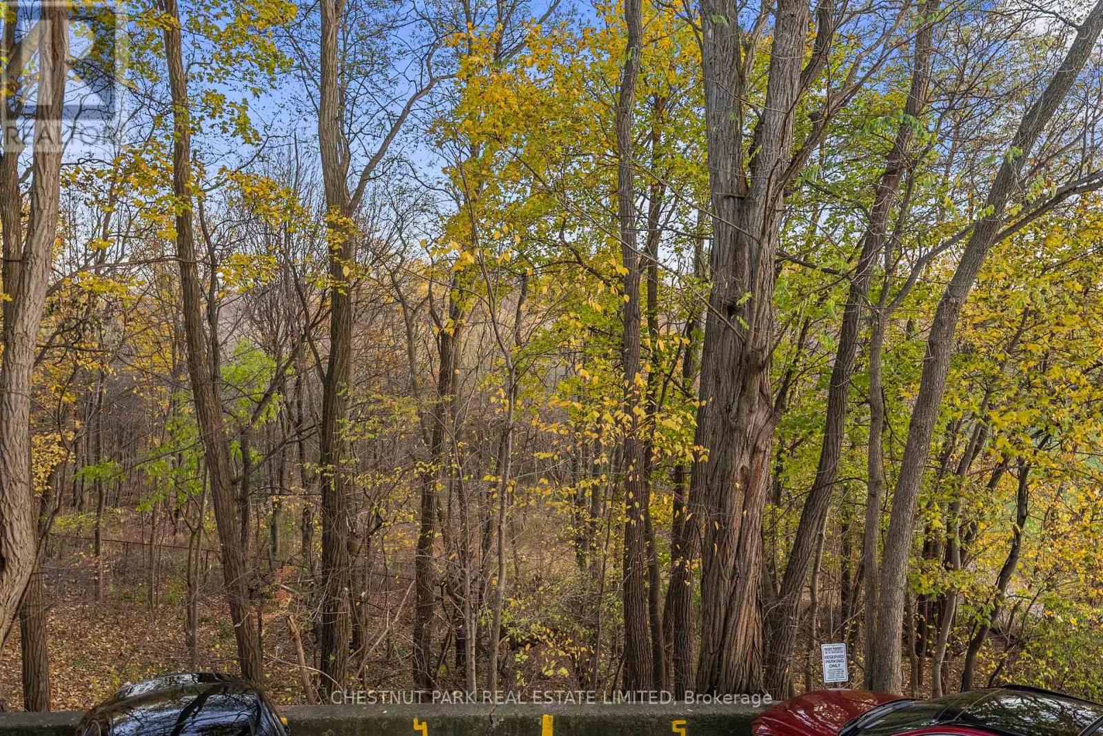 Main - 121 Cheritan Avenue, Toronto, Ontario  M4R 1S8 - Photo 16 - C12796366