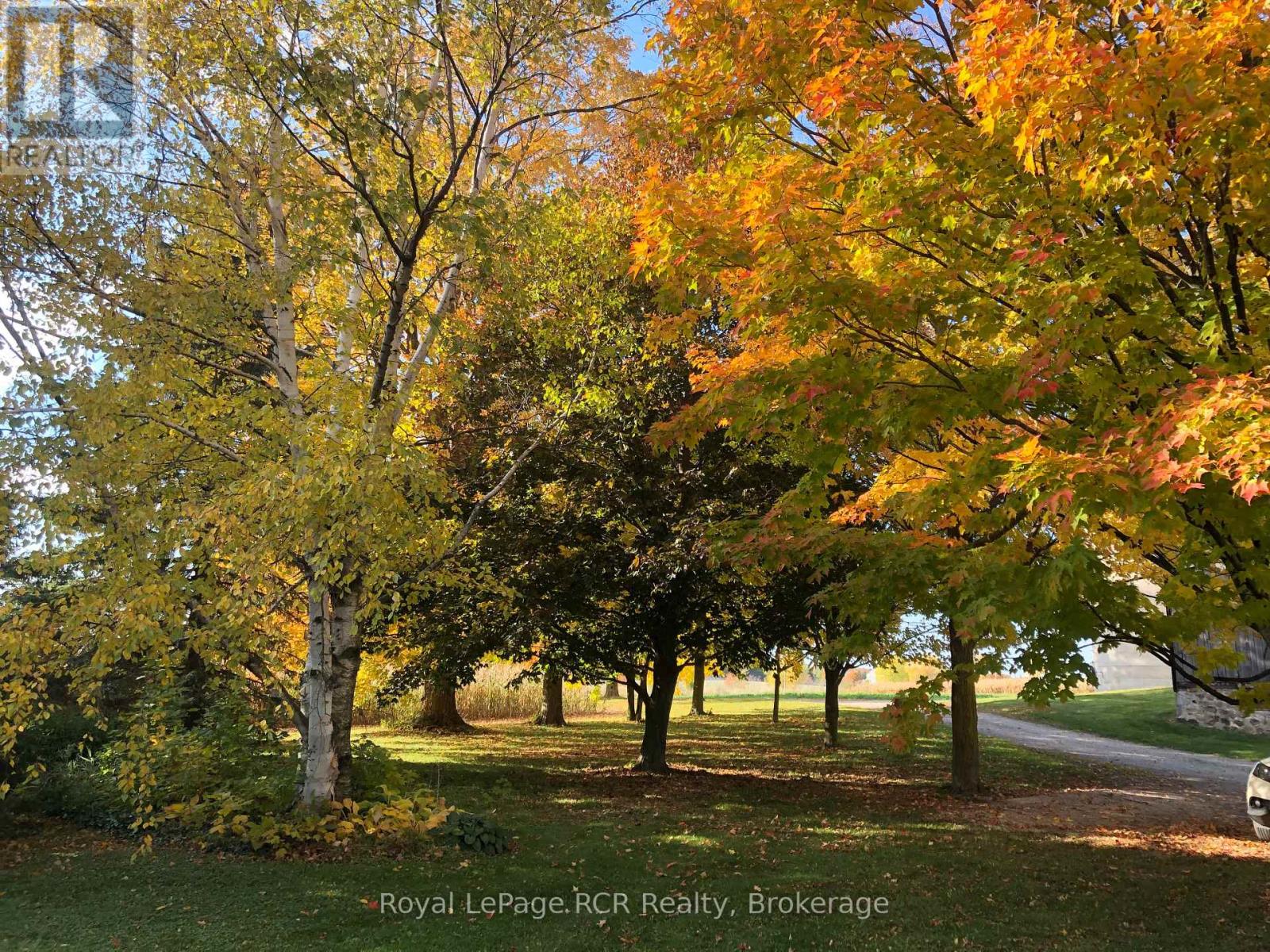 071605 10th Side Road, West Grey, Ontario  N0G 1C0 - Photo 39 - X12796530