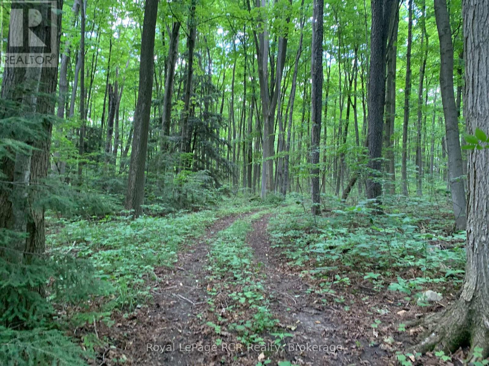 071605 10th Side Road, West Grey, Ontario  N0G 1C0 - Photo 44 - X12796530