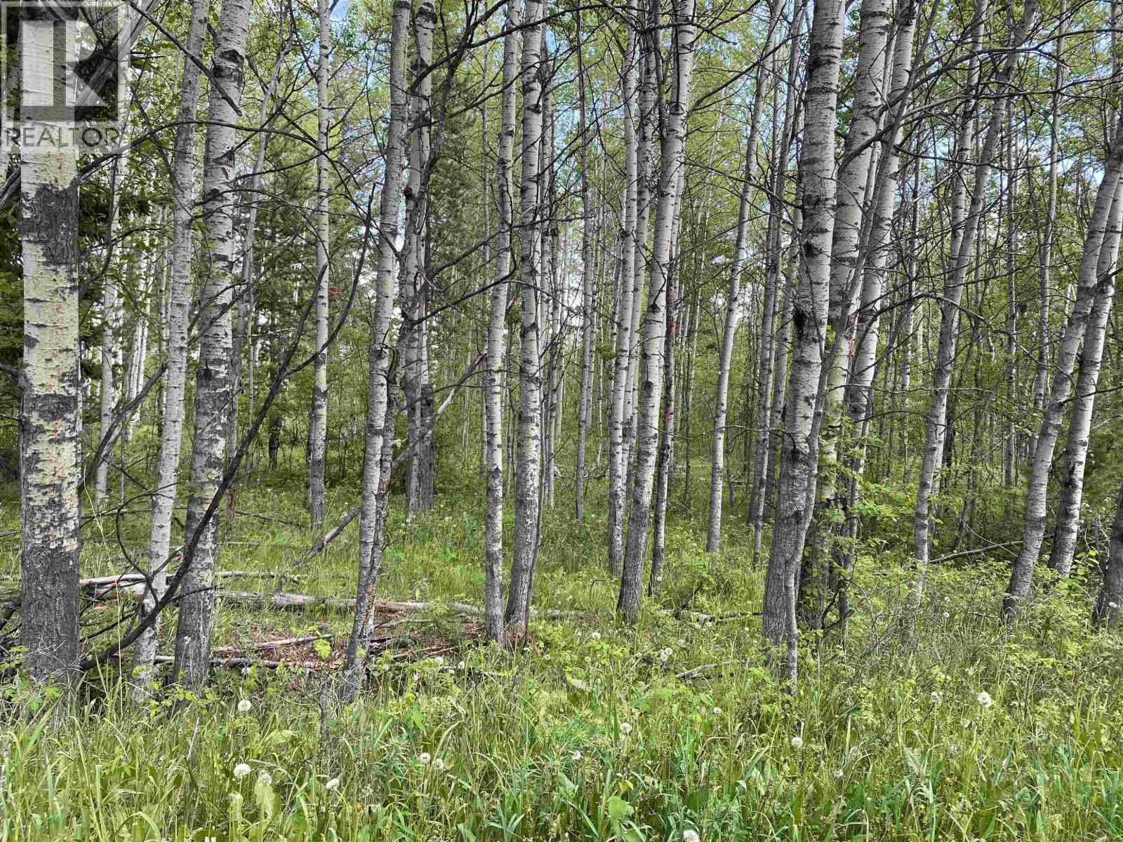 LOT 4 LAKESIDE COURT, 103 Mile House, British Columbia