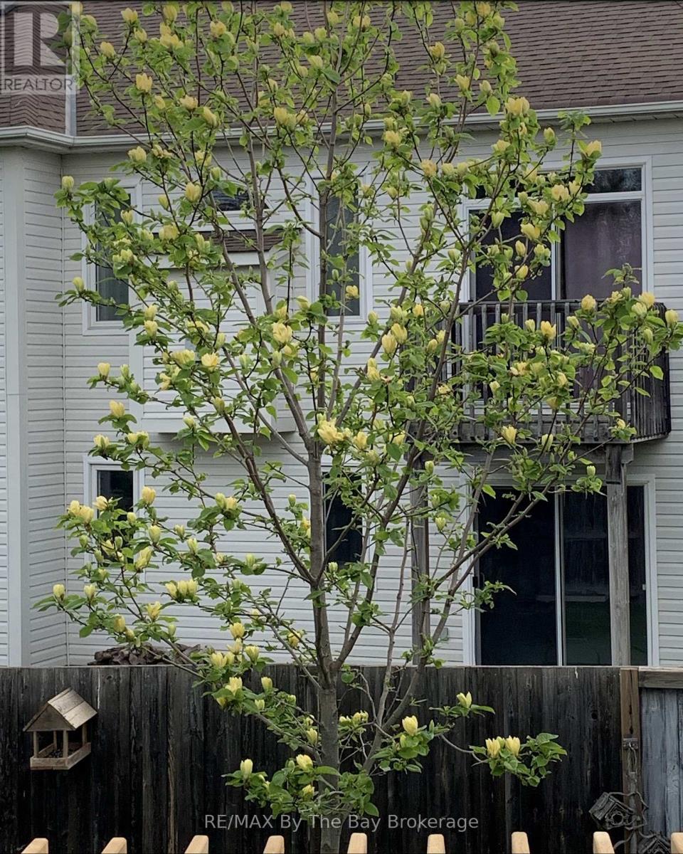 159 41st Street S, Wasaga Beach, Ontario L9Z 2A4 - Photo 46 - S12796608