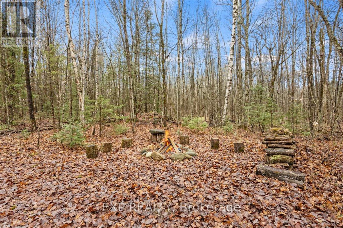 0 Gelert Road, Minden Hills (Snowdon), Ontario  K0M 2K0 - Photo 8 - X12431330