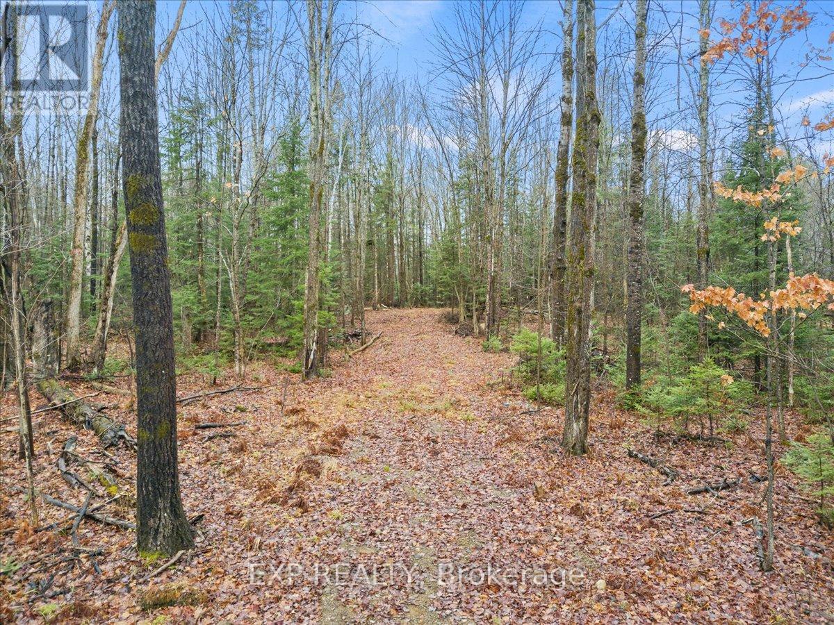 0 Gelert Road, Minden Hills (Snowdon), Ontario  K0M 2K0 - Photo 4 - X12431330