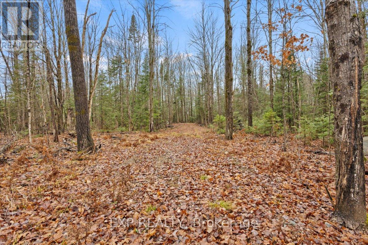 0 Gelert Road, Minden Hills (Snowdon), Ontario  K0M 2K0 - Photo 6 - X12431330