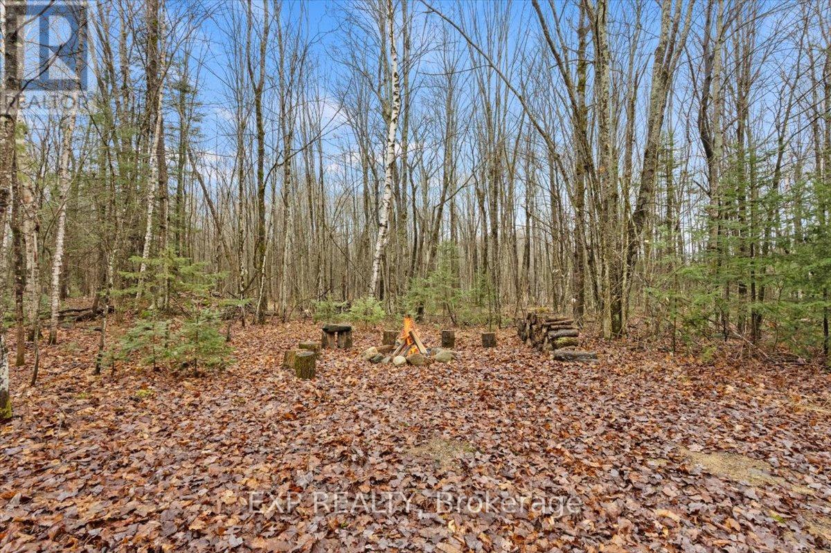 0 Gelert Road, Minden Hills (Snowdon), Ontario  K0M 2K0 - Photo 9 - X12431330