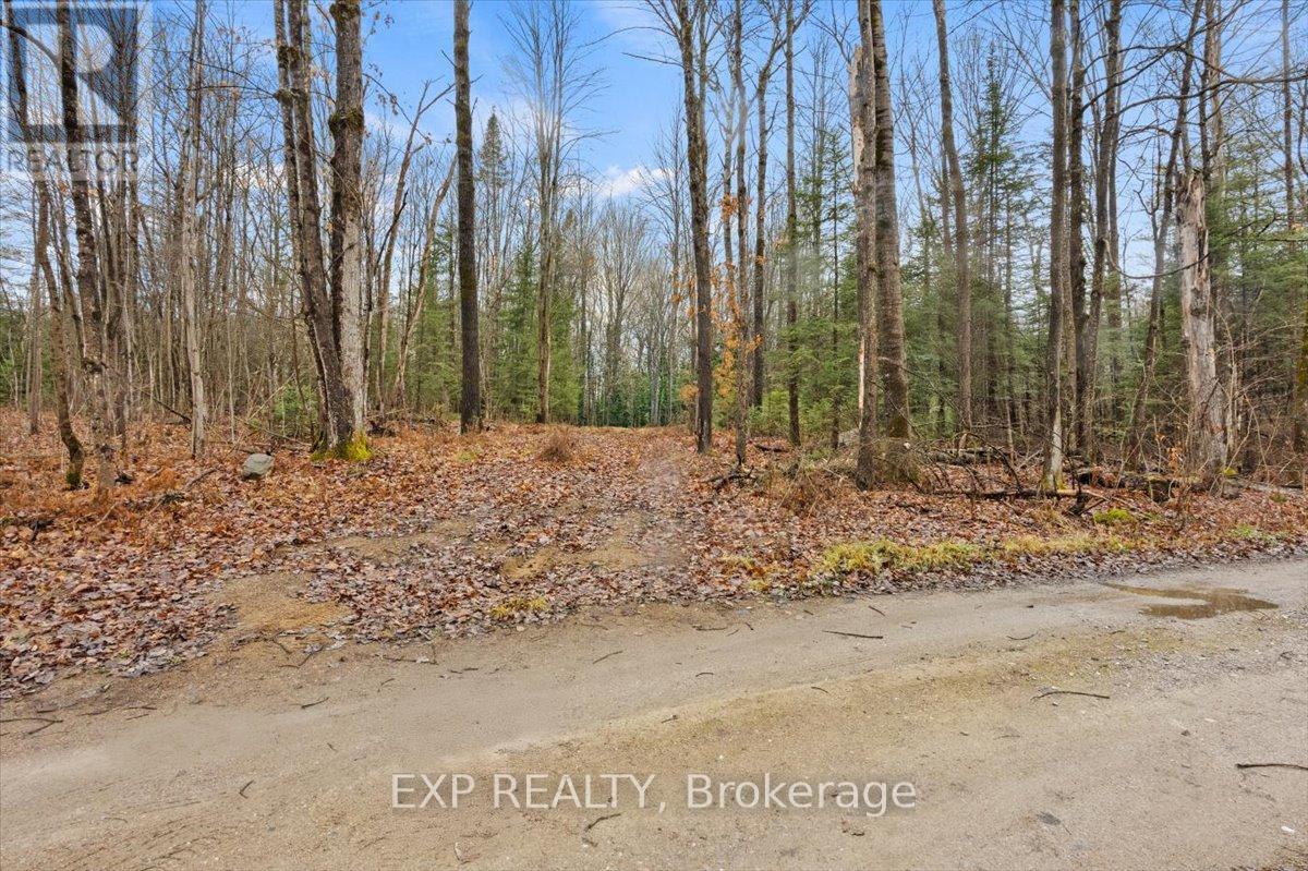 0 Gelert Road, Minden Hills (Snowdon), Ontario  K0M 2K0 - Photo 3 - X12431330
