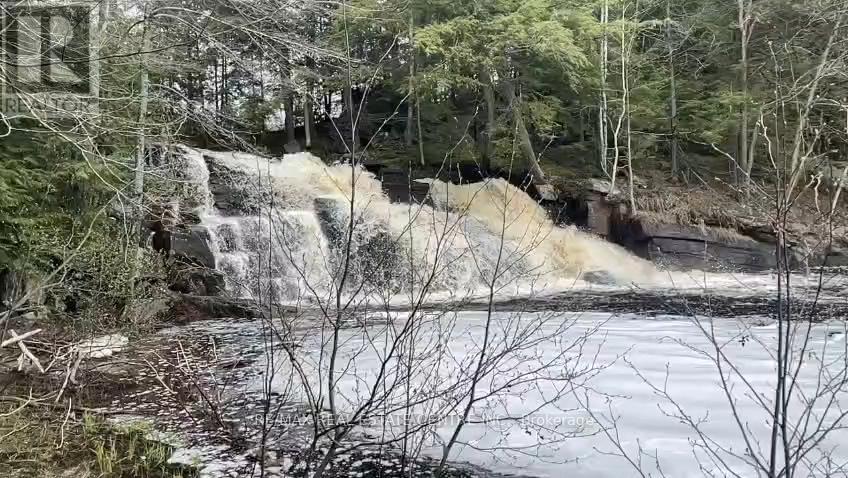 1033 North Shore Drive, Gravenhurst, Ontario  P1P 1R1 - Photo 3 - X12796636