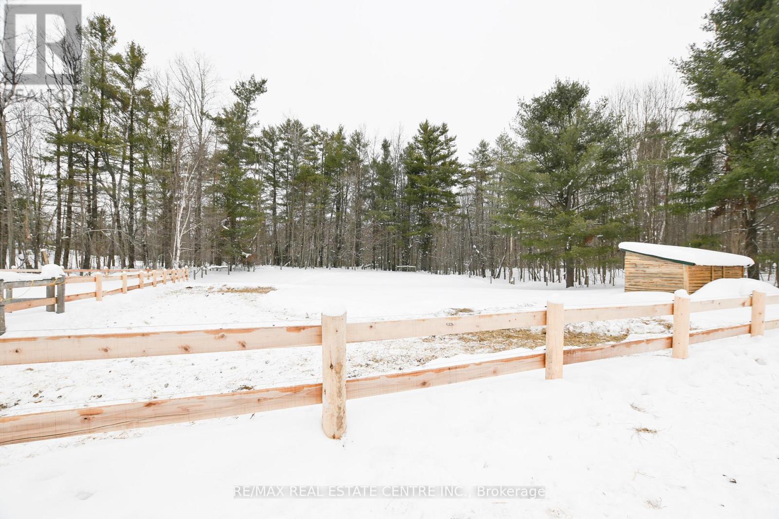 1033 North Shore Drive, Gravenhurst, Ontario  P1P 1R1 - Photo 37 - X12796636