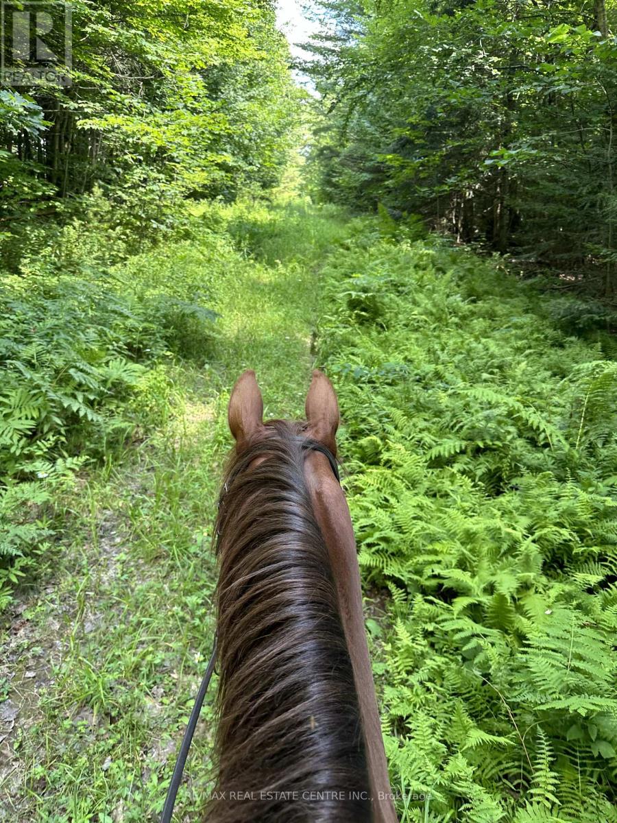 1033 North Shore Drive, Gravenhurst, Ontario  P1P 1R1 - Photo 46 - X12796636