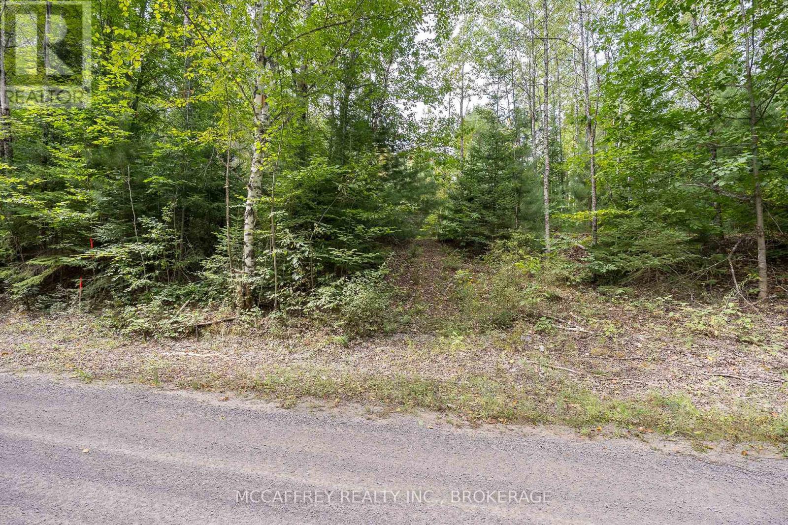 0 Flying Club Road, Greater Madawaska, Ontario  K7R 2Z6 - Photo 32 - X12796852