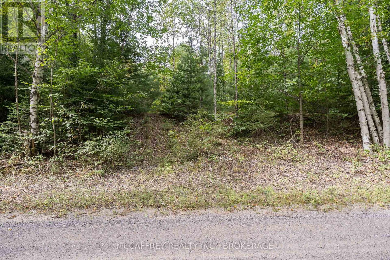 0 Flying Club Road, Greater Madawaska, Ontario  K7R 2Z6 - Photo 33 - X12796852