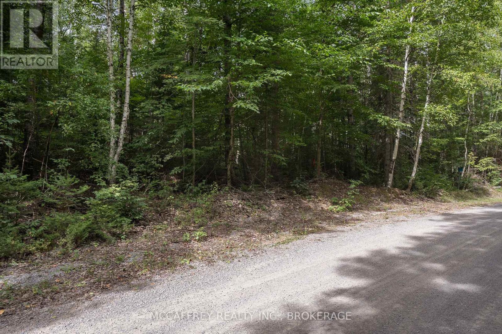 0 Flying Club Road, Greater Madawaska, Ontario  K7R 2Z6 - Photo 35 - X12796852