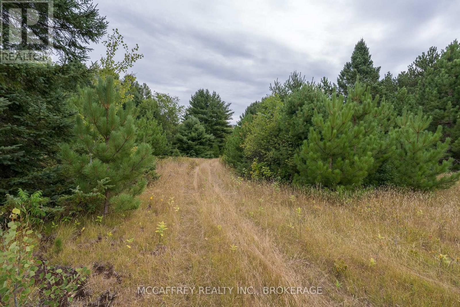 0 Flying Club Road, Greater Madawaska, Ontario  K7R 2Z6 - Photo 40 - X12796852