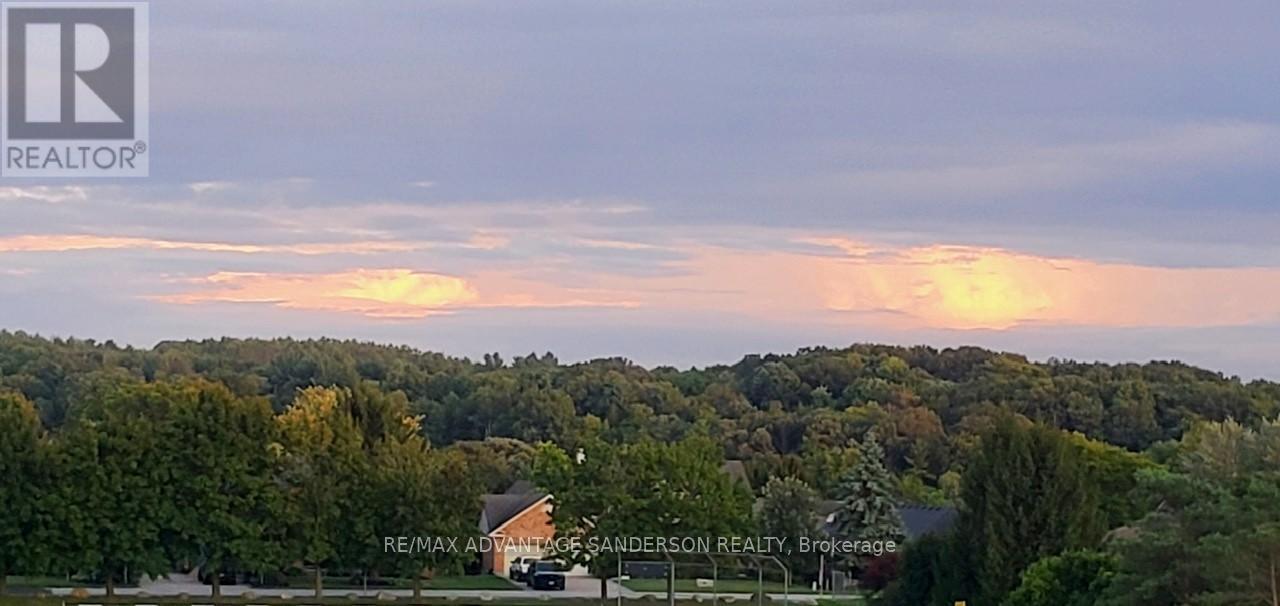 23 Birchcrest Drive, Middlesex Centre, Ontario  N0L 1R0 - Photo 48 - X12796814