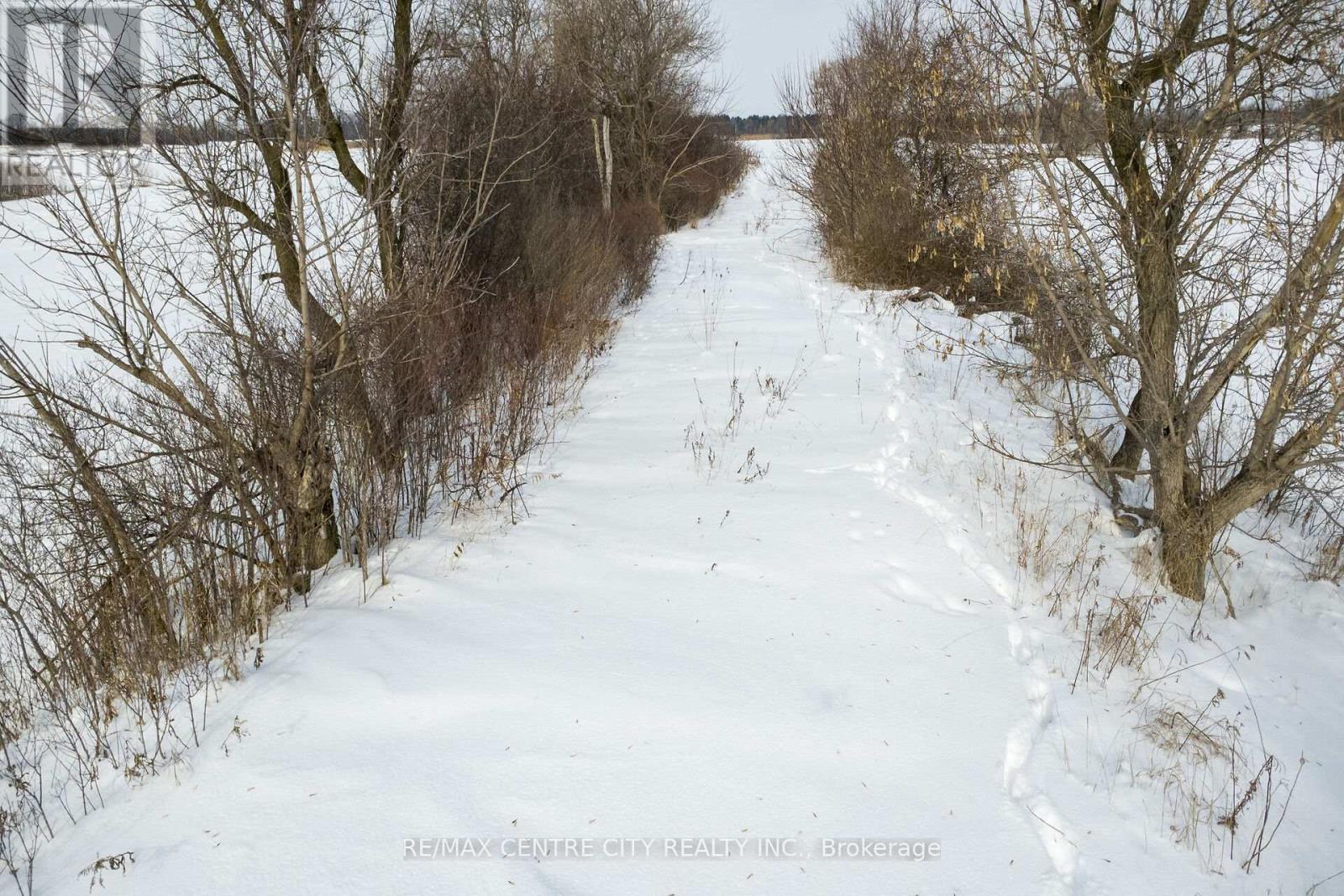 1610 Colborne Street E, Brant, Ontario  N3T 5L4 - Photo 5 - X12796892