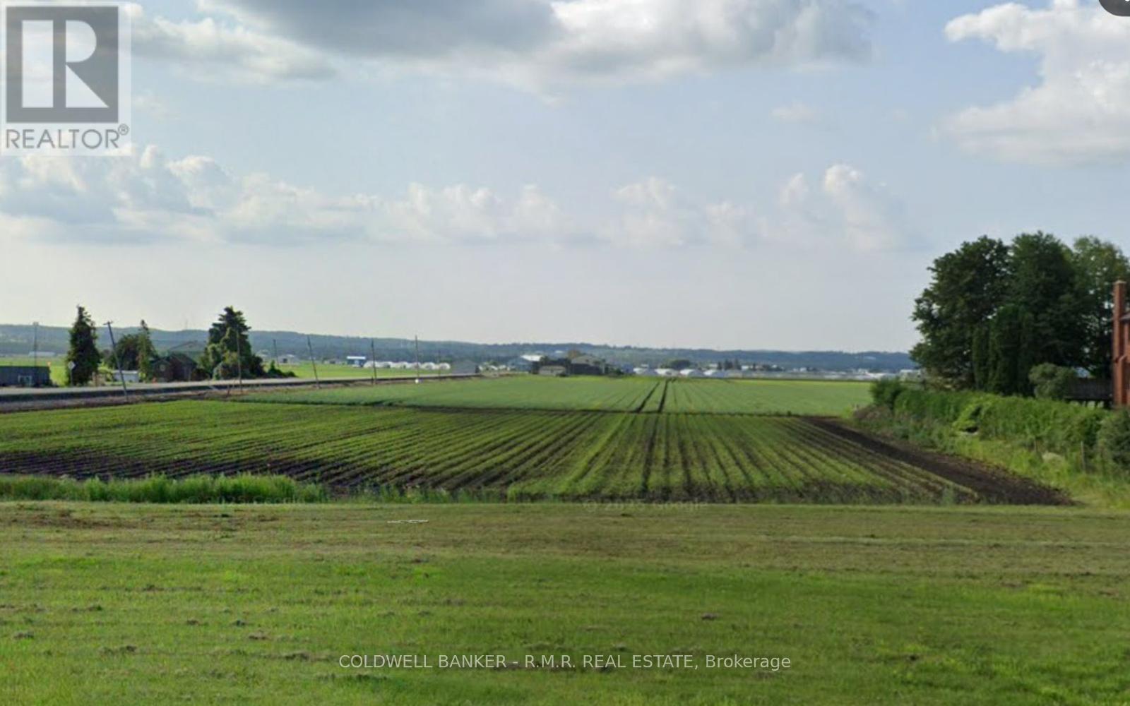 14 Fraser Street, Bradford West Gwillimbury, Ontario  L3Z 3Y8 - Photo 8 - N12787466