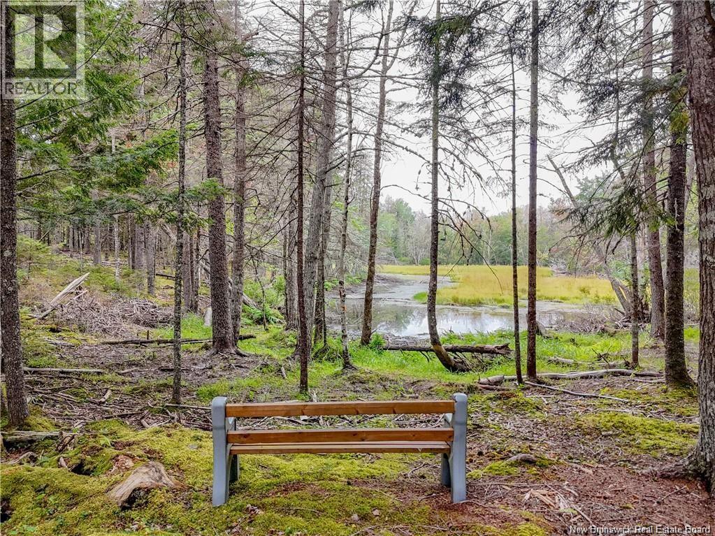 183 Route 628, Penniac, New Brunswick  E3A 8Y1 - Photo 42 - NB133370