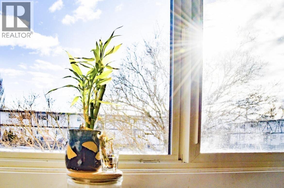 125 4529 Straume Avenue, Terrace, British Columbia  V8G 2C1 - Photo 5 - R3090399