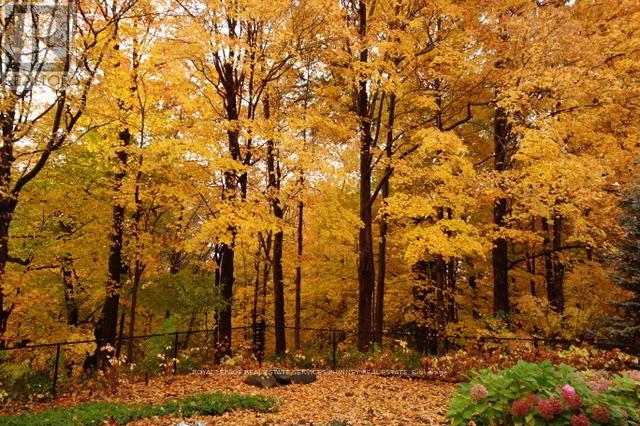 3952 Rolling Valley Drive, Mississauga, Ontario  L5L 5V9 - Photo 33 - W12795484