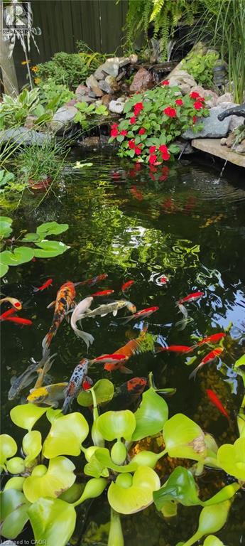 119 Port Robinson Road, Fonthill, Ontario  L0S 1E0 - Photo 34 - 40805903