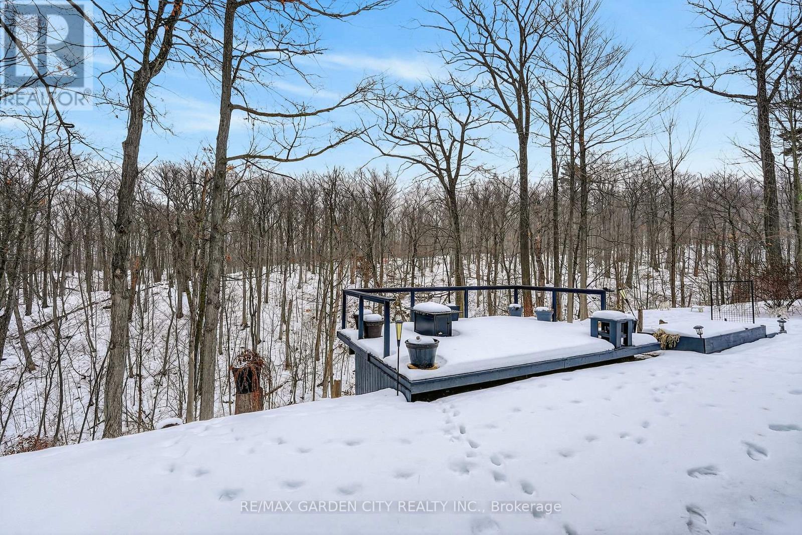 51 Park Road S, Grimsby, Ontario  L3M 4E7 - Photo 46 - X12797296