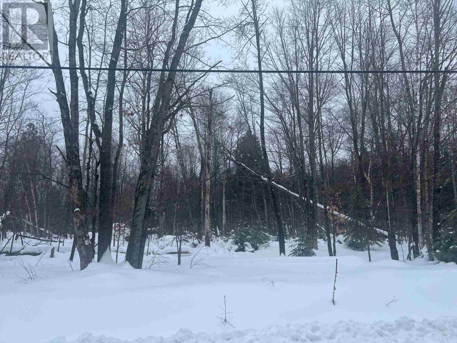 17 Lot D Con Canoe Point Rd, Hilton Beach, Ontario P0R 1G0 - Photo 4 - SM260311