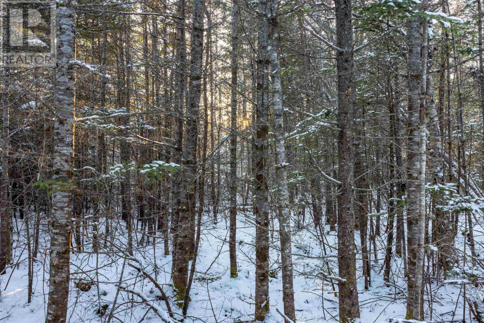 1682 Sonora Road, Sherbrooke, Nova Scotia  B0J 3C0 - Photo 8 - 202529493