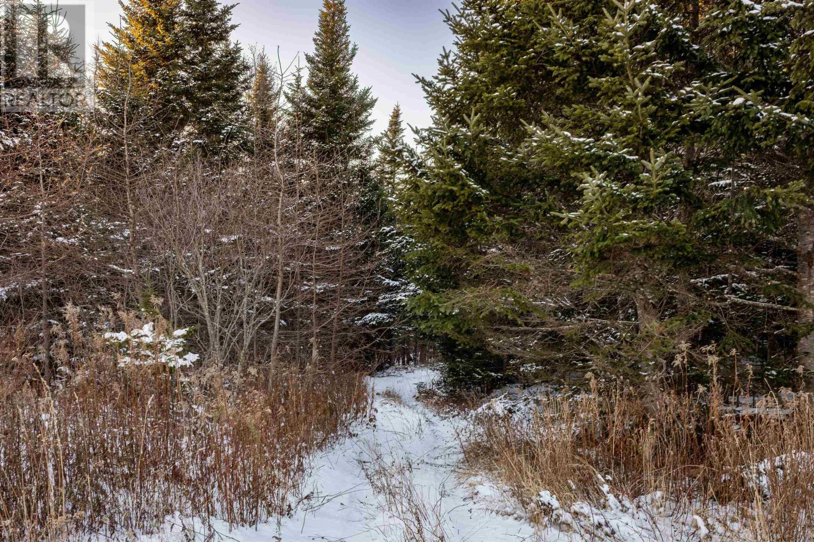 1682 Sonora Road, Sherbrooke, Nova Scotia  B0J 3C0 - Photo 6 - 202529493