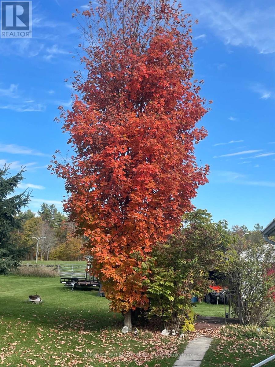 50 Victoria Street N, Marmora And Lake (Marmora Ward), Ontario  K0K 2M0 - Photo 20 - X12797954