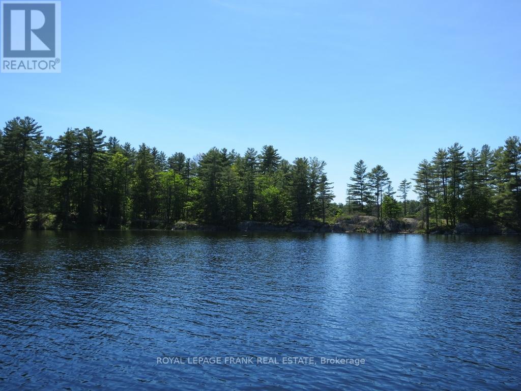 0 Horseshoe Island, North Kawartha, Ontario  K0L 2H0 - Photo 13 - X12797978