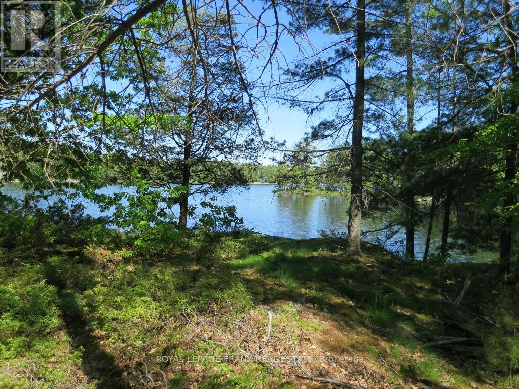 0 Horseshoe Island, North Kawartha, Ontario  K0L 2H0 - Photo 6 - X12797978