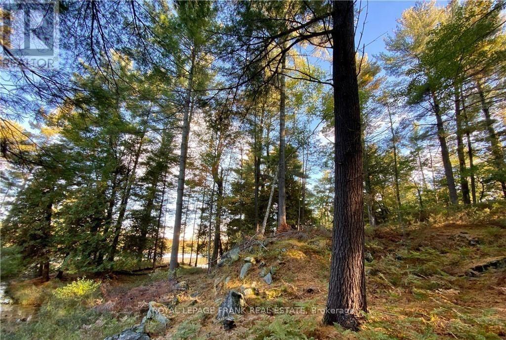 0 Horseshoe Island, North Kawartha, Ontario  K0L 2H0 - Photo 7 - X12797978