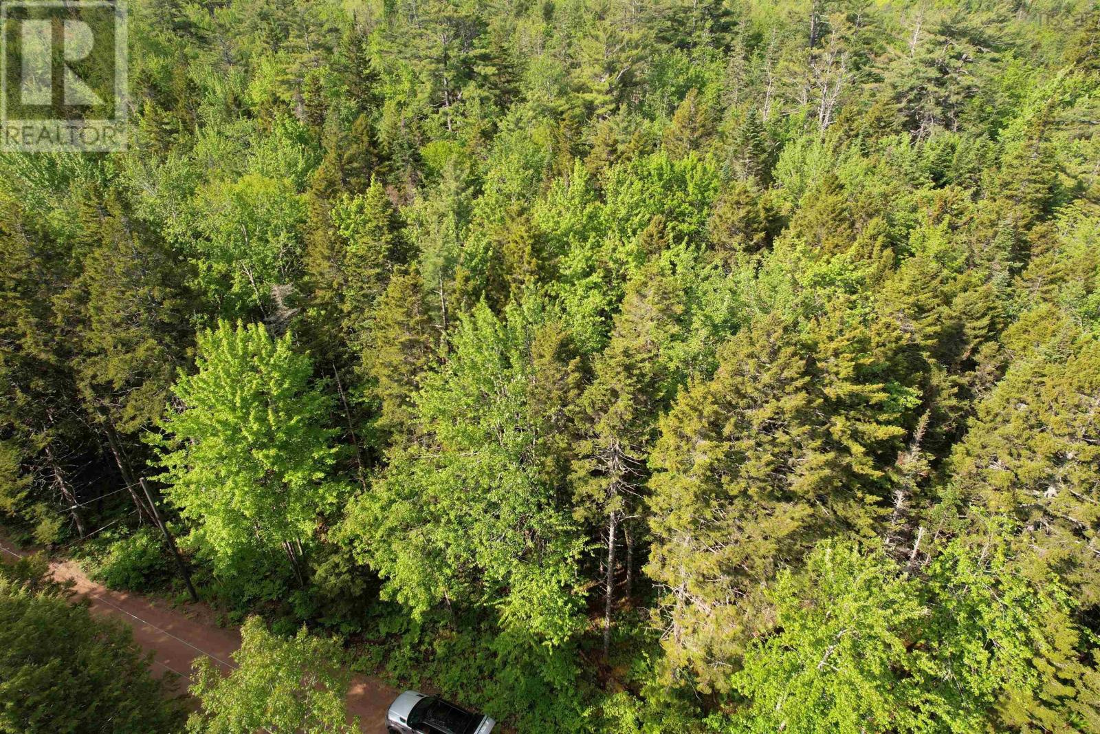 7 Lot Package East Lake Road, New Albany, Nova Scotia  B0S 1P0 - Photo 18 - 202602975