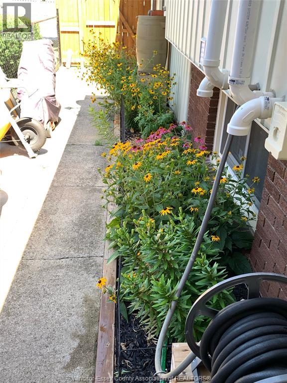 19 Bennie Avenue, Leamington, Ontario  N8H 4M1 - Photo 47 - 26003465