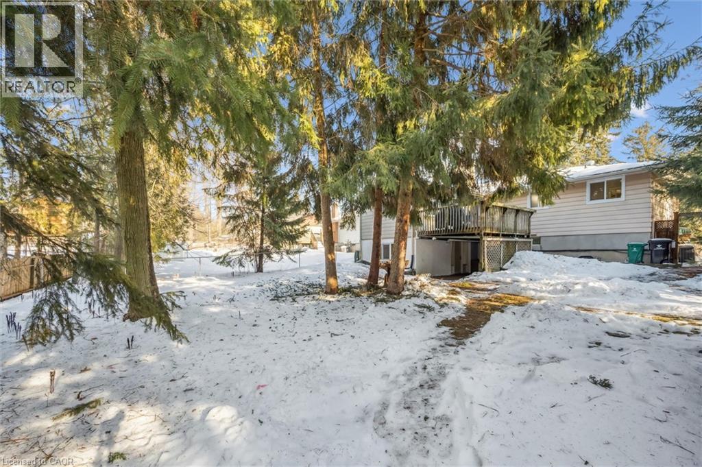 204 Cedarbrae Avenue, Waterloo, Ontario  N2L 4S5 - Photo 35 - 40805661