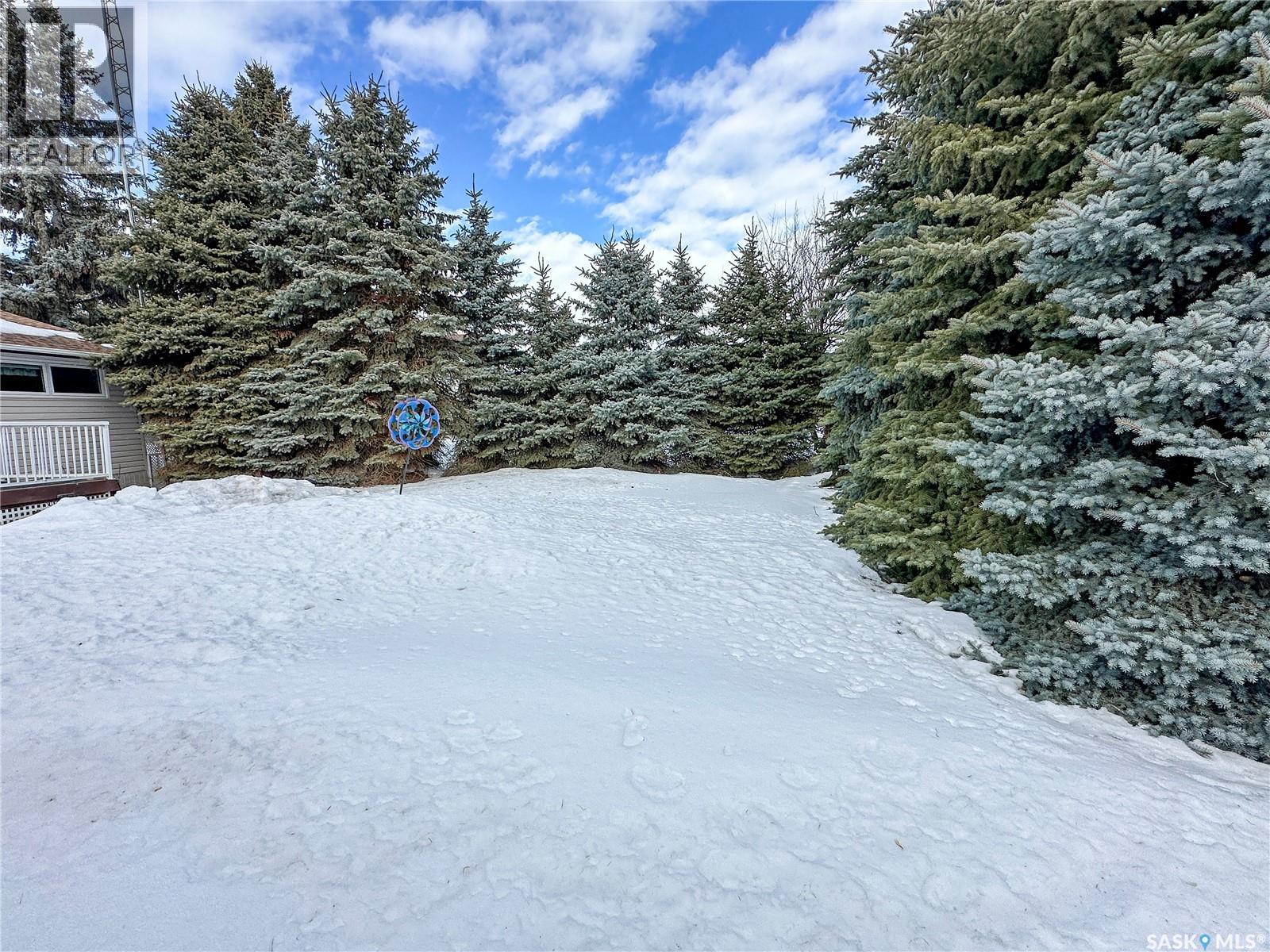 109 Charles Crescent, Balcarres, Saskatchewan  S0G 0C0 - Photo 20 - SK028777