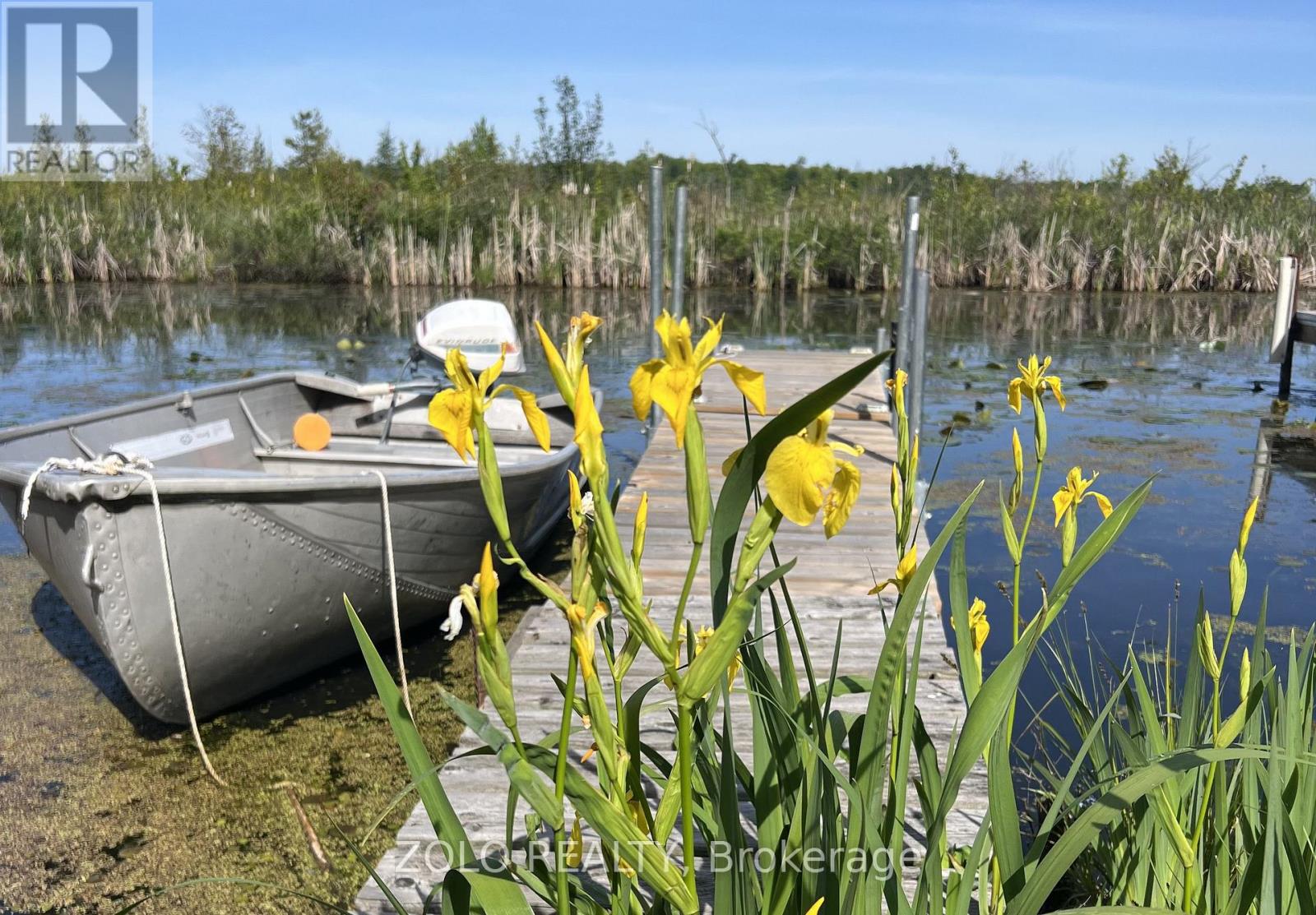 143 Grandview Drive, Alnwick/haldimand, Ontario  K0K 2X0 - Photo 3 - X12798218