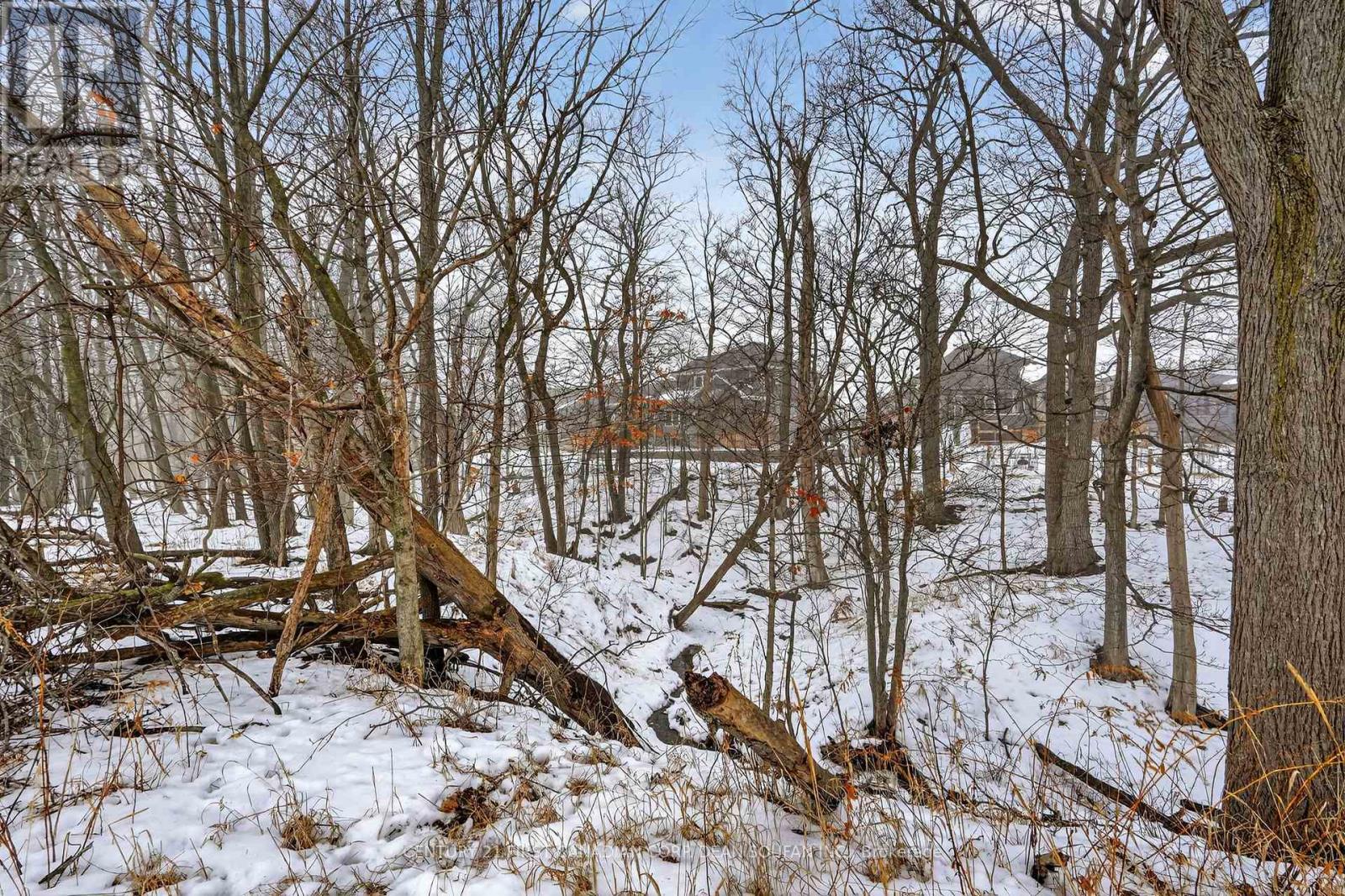 44 Muirfield Drive, St. Thomas, Ontario  N5R 0R9 - Photo 43 - X12798492