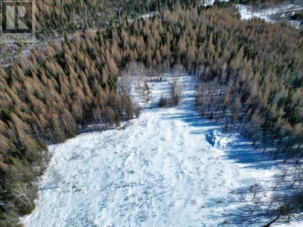 206 Cloud Bay Road, Thunder Bay, Ontario  P7L 0A9 - Photo 13 - TB2600248