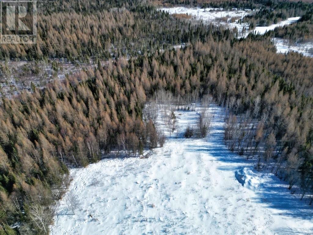 206 Cloud Bay Road, Thunder Bay, Ontario  P7L 0A9 - Photo 8 - TB2600248