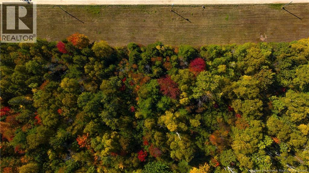 Lot Eloi Lane, Inkerman, New Brunswick  E8P 1B9 - Photo 12 - NB109398