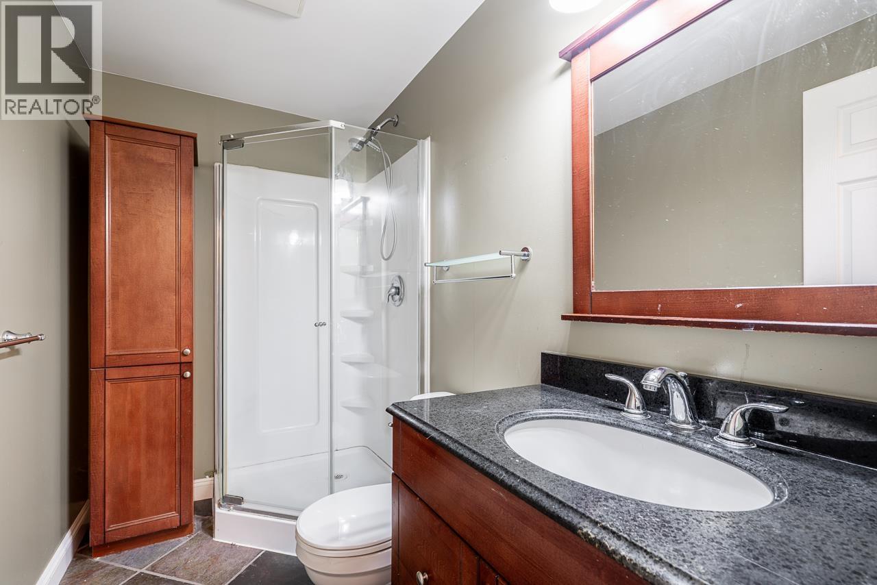 1021 Ogden Street, Coquitlam, British Columbia  V3C 3V8 - Photo 29 - R3089523