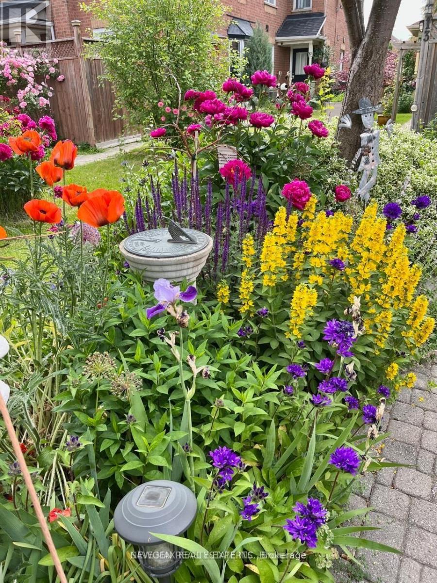 13 Pressed Brick Drive, Brampton, Ontario  L6V 4K8 - Photo 47 - W12798494