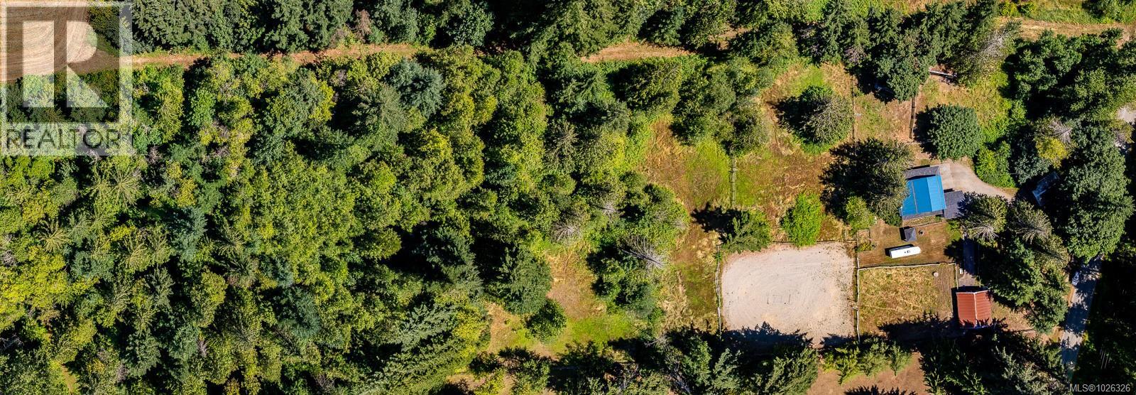 2468 Endall Rd, Black Creek, British Columbia  V0R 1C0 - Photo 14 - 1026326