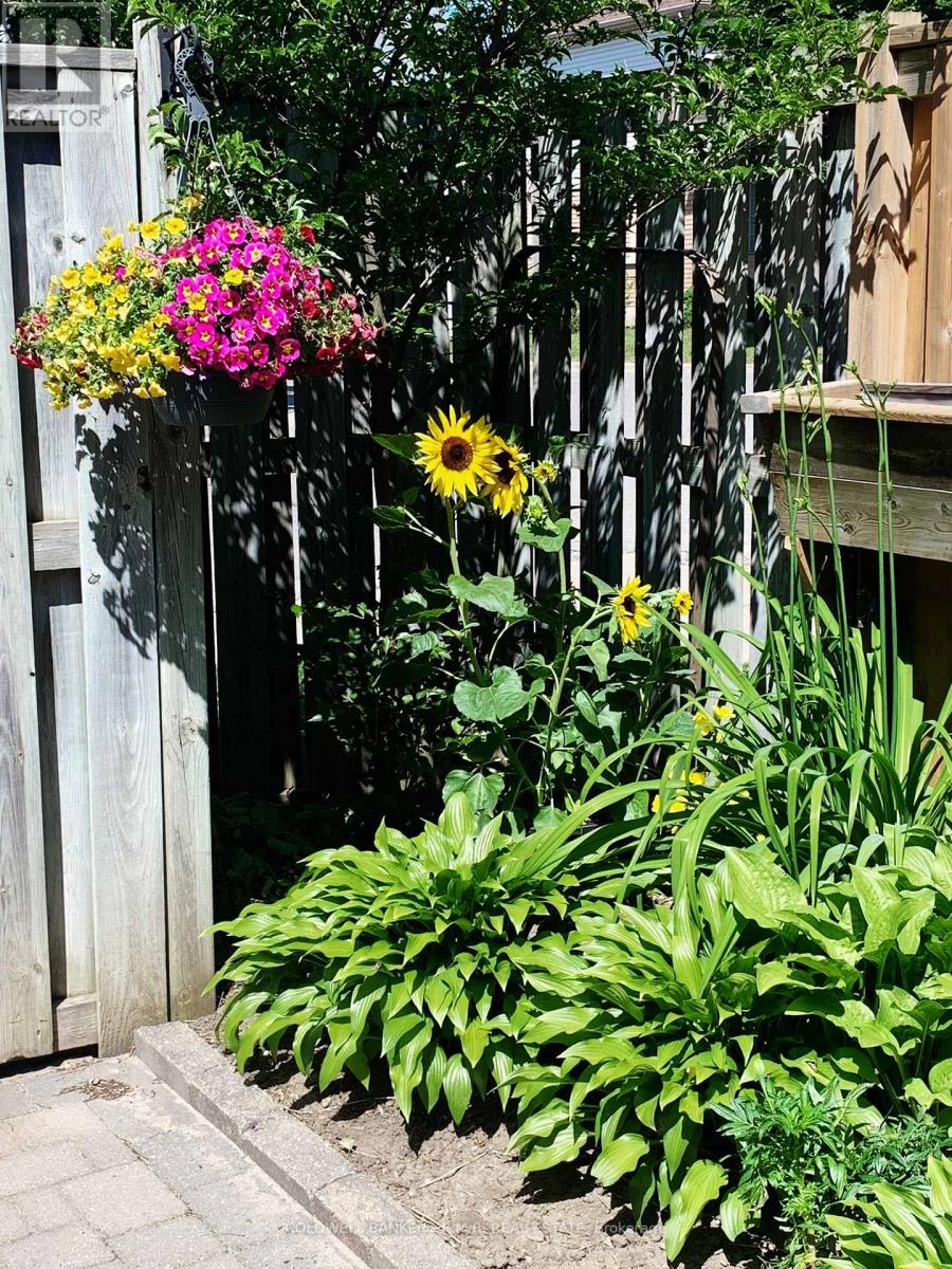 15 Greengrove Way, Whitby, Ontario  L1R 2N4 - Photo 46 - E12798636