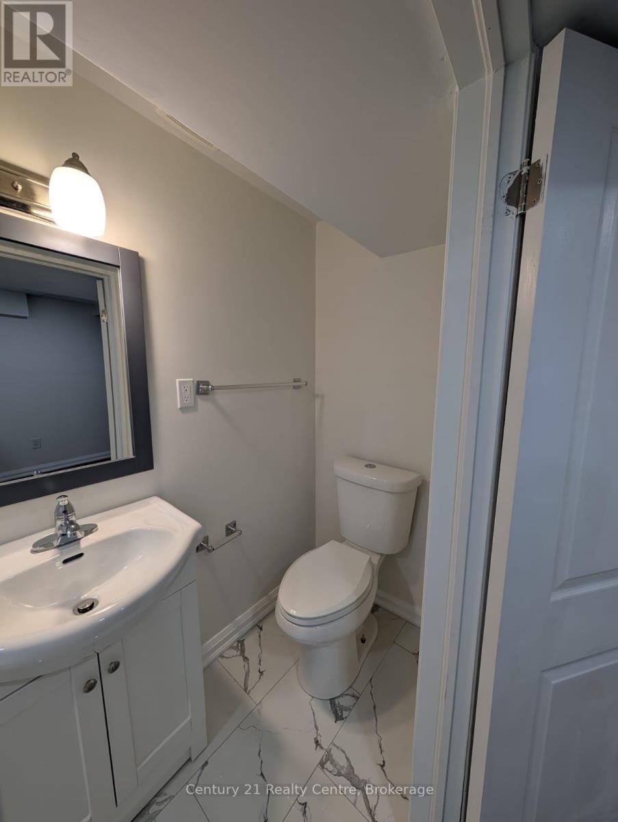 Basement - 22 Huronia Court, Brampton, Ontario  L6S 2C7 - Photo 3 - W12798736