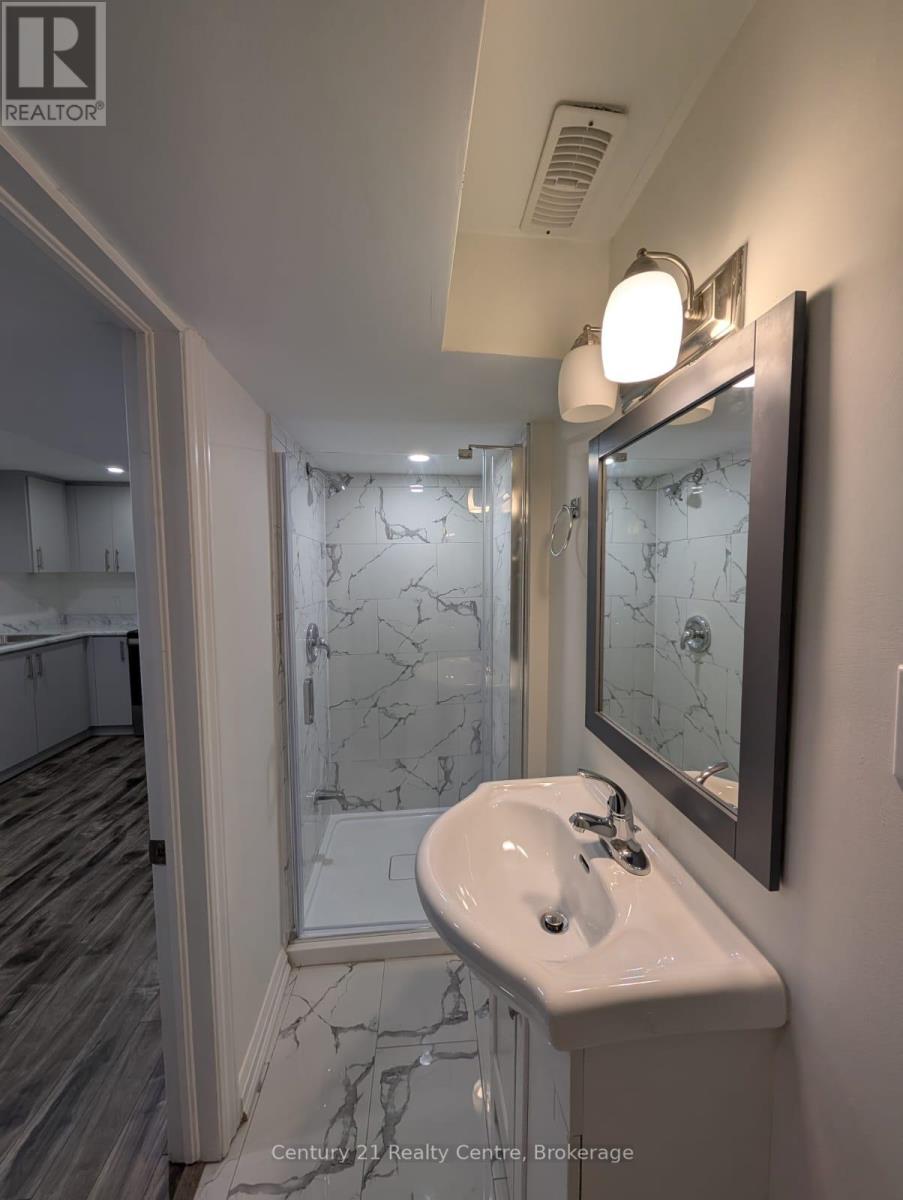 Basement - 22 Huronia Court, Brampton, Ontario  L6S 2C7 - Photo 4 - W12798736