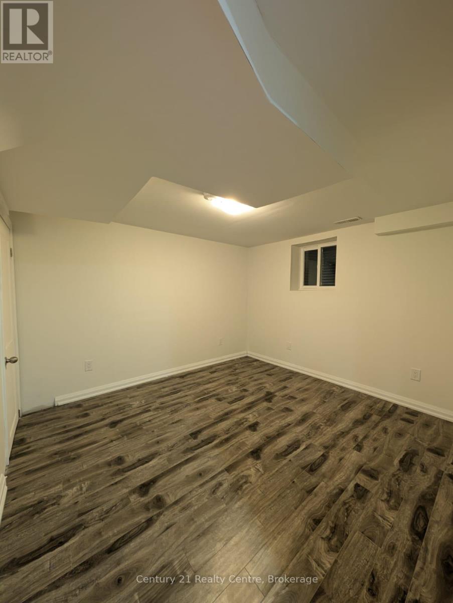 Basement - 22 Huronia Court, Brampton, Ontario  L6S 2C7 - Photo 6 - W12798736