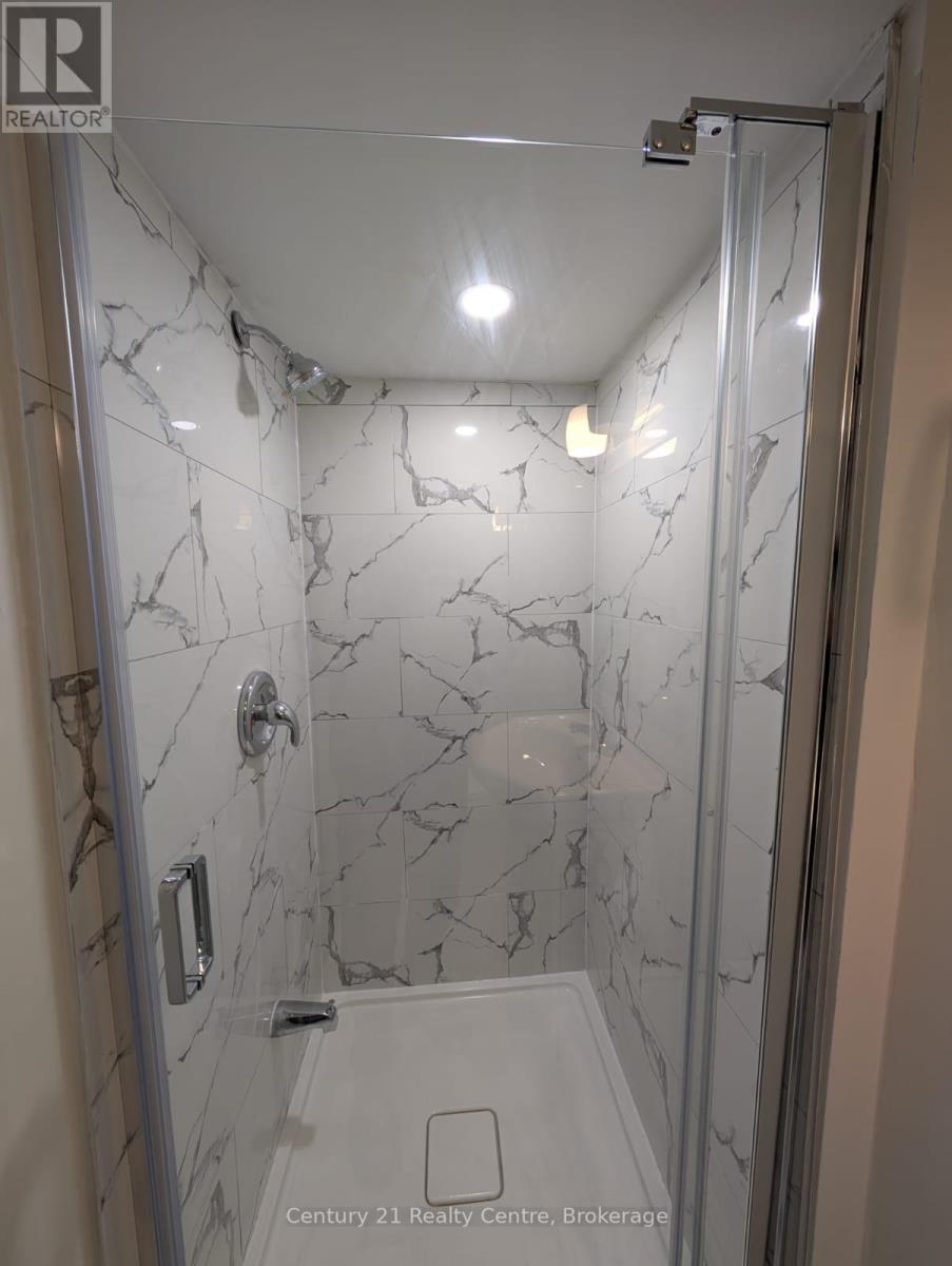 Basement - 22 Huronia Court, Brampton, Ontario  L6S 2C7 - Photo 7 - W12798736