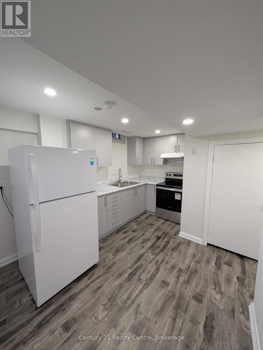 Basement - 22 Huronia Court, Brampton, Ontario  L6S 2C7 - Photo 9 - W12798736